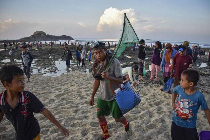 Bau Nyale, Tradisi Tangkap Cacing Asal Lombok Tengah untuk Mengenang Putri Mandalika