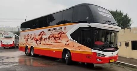 5 PO Bus Memiliki Warna dan Livery Paling Unik, Tak Sembarangan Ini Filosofinya