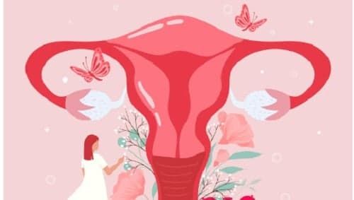 Proses Menstruasi Secara Singkat pada Wanita, Ini 3 Fase Utamanya Proses Menstruasi Secara Singkat pada Wanita, Ini 3 Fase Utamanya