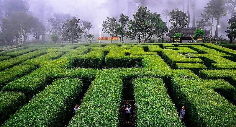 5 Taman Labirin Paling Unik di Indonesia, Rutenya Sulit dan Bikin Penasaran 5 Taman Labirin Paling Unik di Indonesia, Rutenya Sulit dan Bikin Penasaran