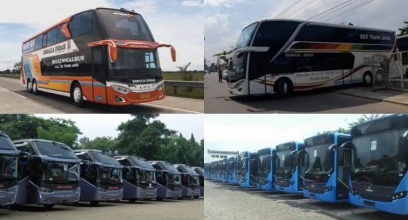 5 PO Bus Terbesar di Indonesia Punya Banyak Anak Perusahaan, Miliki Ribuan Armada, SPBU hingga Hotel