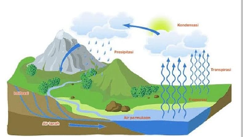 Kondensasi adalah? Pendaki Wajib Tahu Cara Mengatasinya di Dalam Tenda Kondensasi adalah? Pendaki Wajib Tahu Cara Mengatasinya di Dalam Tenda
