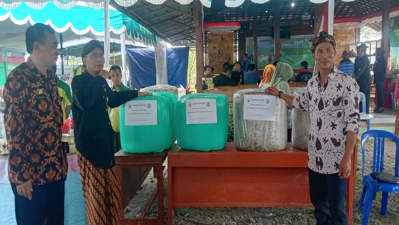 Bentuk Badan Usaha, Petani dan Peternak di Semarang Sukses Produksi Pakan Ternak