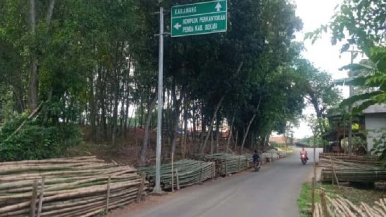 Daerah Penghasil Bambu Terbesar, Ternyata Bojongmangu Bekasi Daerah Penghasil Bambu Terbesar, Ternyata Bojongmangu Bekasi