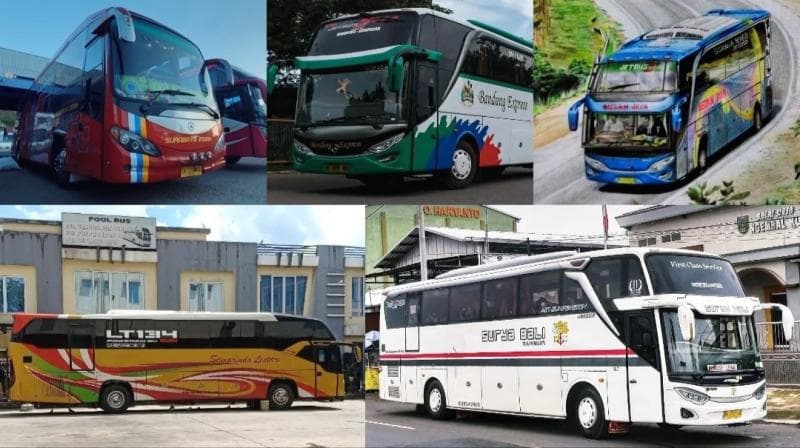 28 PO Bus Pakai Nama Daerah Menjadi Kebanggaan Warga, Ini Idola Busmania