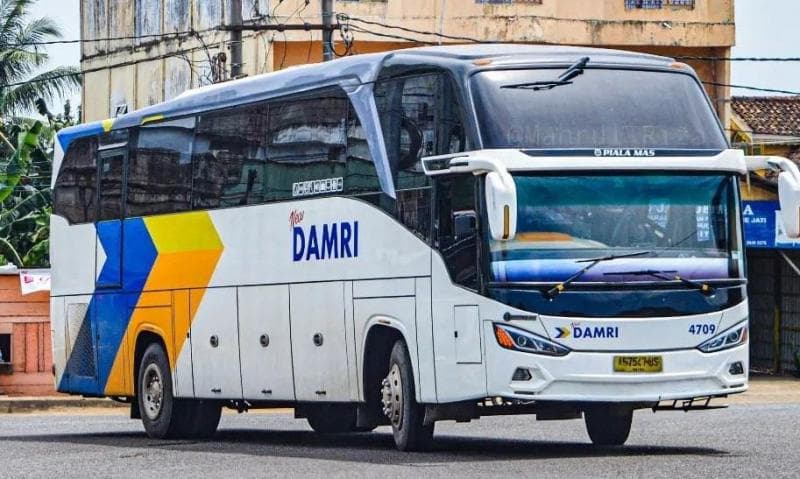 5 PO Bus Antar Negara di Indonesia, Tempuh Jarak sampai 1.000-an Kilometer 5 PO Bus Antar Negara di Indonesia, Tempuh Jarak sampai 1.000-an Kilometer