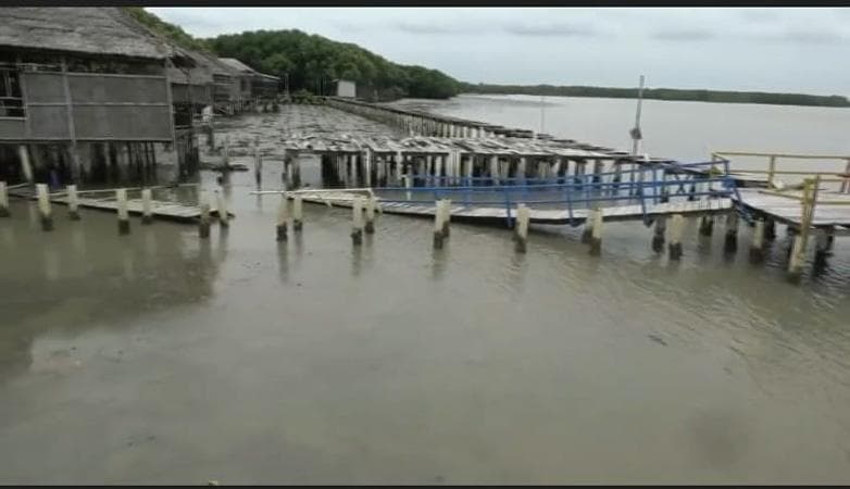 Wisata Hutan Mangrove di Brebes Rusak Dihantam Gelombang Tinggi, Anjungan Roboh