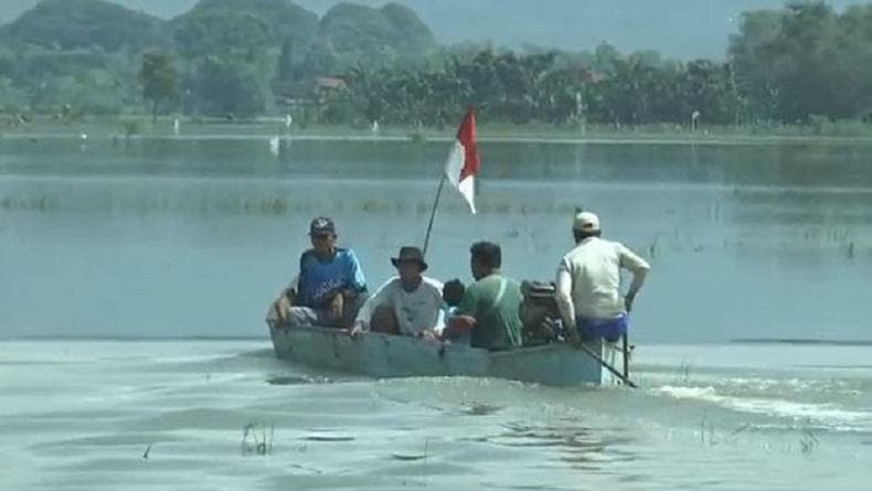 Sawah Terendam Banjir di Grobogan Jadi Objek Wisata Perahu Dadakan