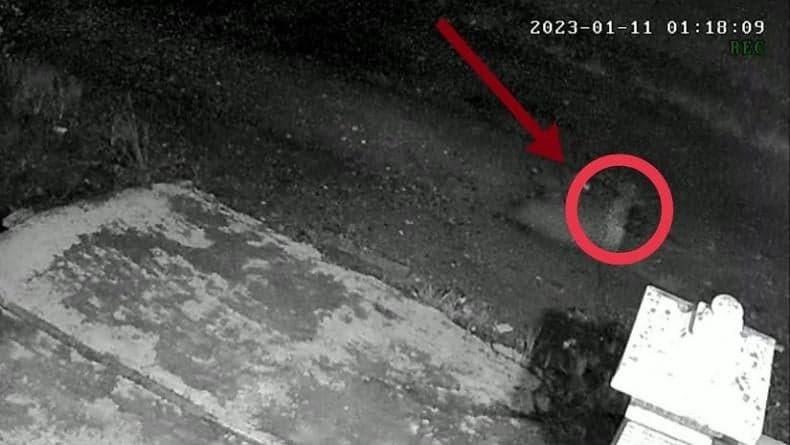 Merangin Geger, Sosok Diduga Tuyul Terekam CCTV Mondar-mandir di Depan Rumah Warga Merangin Geger, Sosok Diduga Tuyul Terekam CCTV Mondar-mandir di Depan Rumah Warga