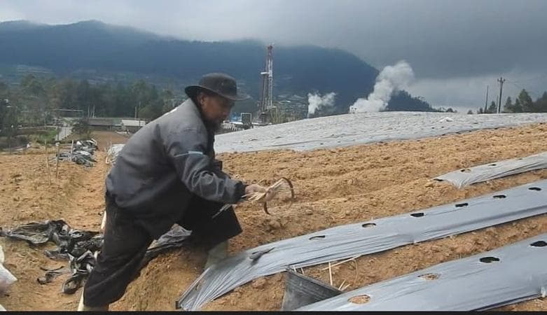 Aktivitas Gunung Dieng Meningkat, Petani Banjarnegara Nekat Garap Lahan di Zona Bahaya