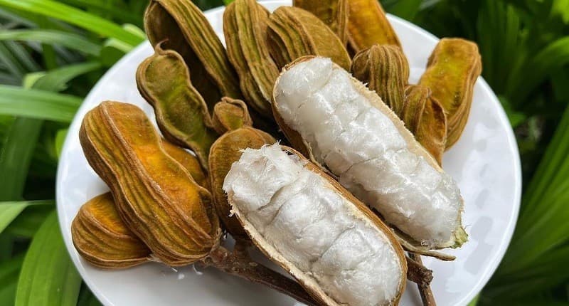 Mengenal Buah Salju Khas Bedugul yang Lembut seperti Kapas, Ternyata Ini Manfaatnya! Mengenal Buah Salju Khas Bedugul yang Lembut seperti Kapas, Ternyata Ini Manfaatnya!