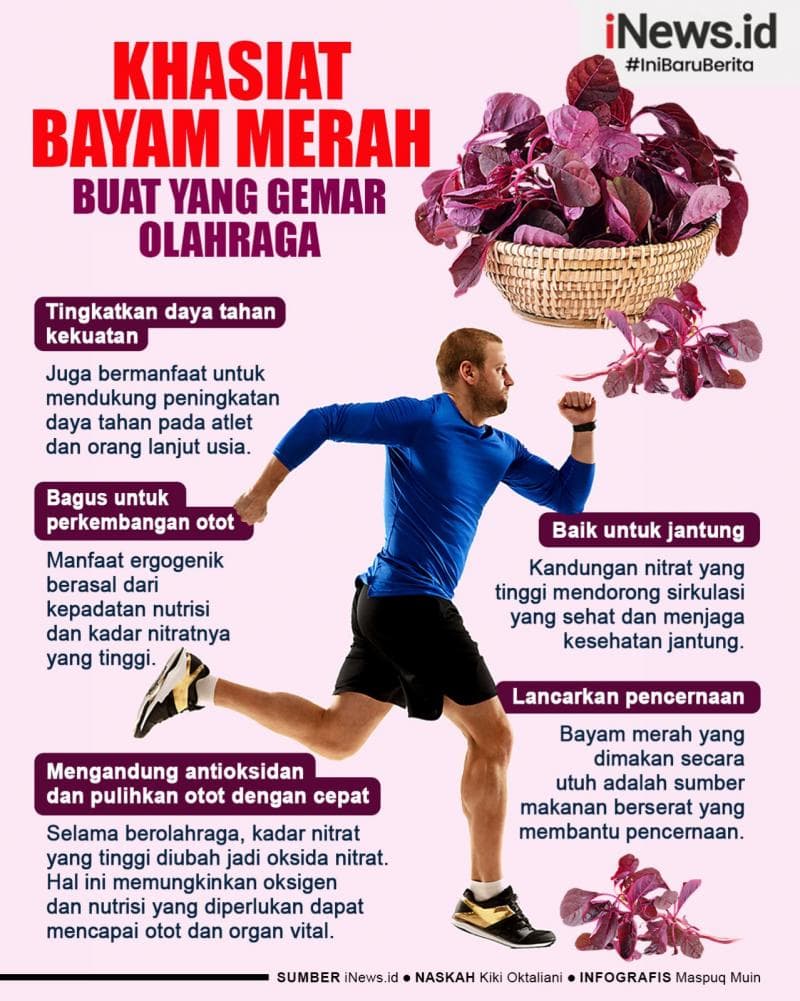 Infografis Khasiat Bayam Merah Buat yang Gemar Olahraga