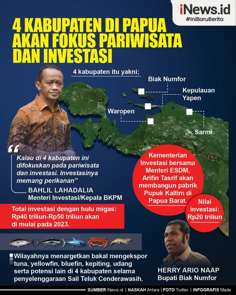 Infografis 4 Kabupaten di Papua Akan Fokus Pariwisata dan Investasi