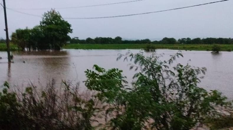 Banjir Sumbawa, 250 Hektare Sawah Terendam Banjir