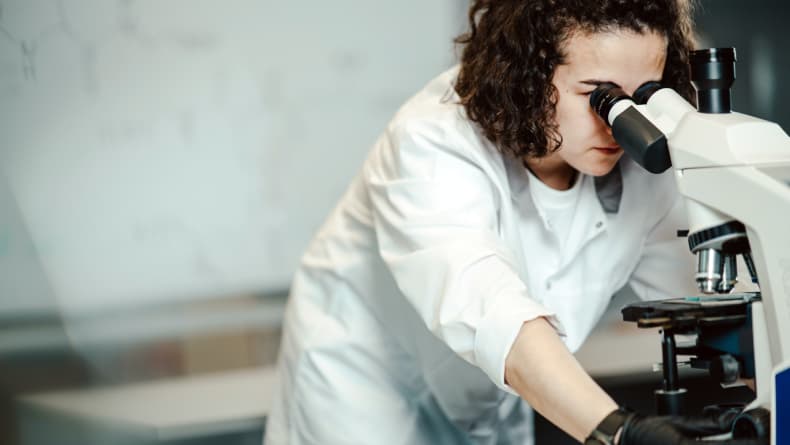 9 Contoh Teks Laporan Hasil Observasi Hewan Beserta Strukturnya 9 Contoh Teks Laporan Hasil Observasi Hewan Beserta Strukturnya