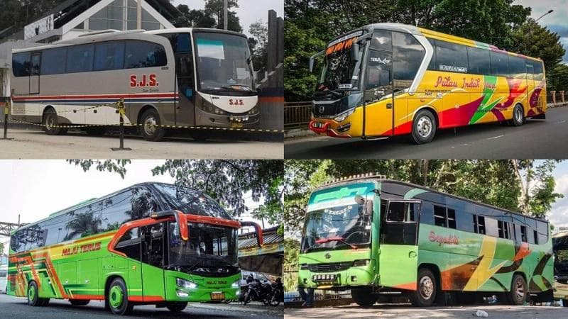 10 PO Bus Terkenal di Kalimantan, Tak Kalah Mewah Bus di Jawa Layani Penumpang hingga Malaysia