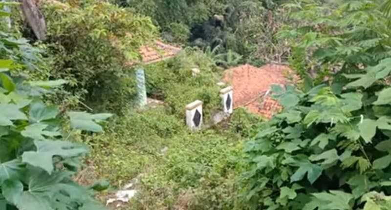 Kampung Mati di Lereng Gunung yang Dihuni 1 Keluarga, Hanya Tersisa Ternak dan Kebun