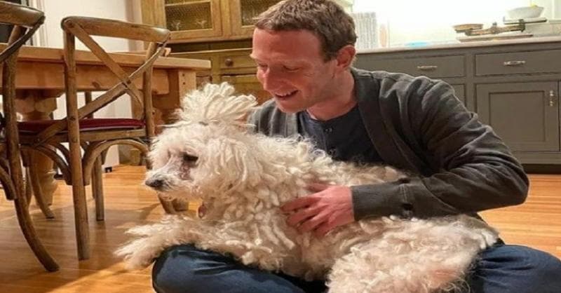 Mark Zuckerberg Bikin Aplikasi Mirip Twitter, Bisa Post Karakter Terbatas