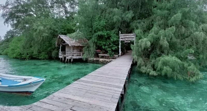 Menjaga Kelestarian Pantai dan Mangrove di Kepulauan Seribu dari Sampah Plastik