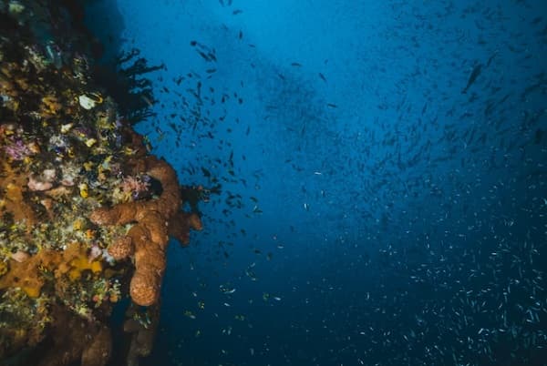 Laut Terdalam di Dunia, Ada yang Memiliki Harta Karun Minyak dan Gas Alam Laut Terdalam di Dunia, Ada yang Memiliki Harta Karun Minyak dan Gas Alam