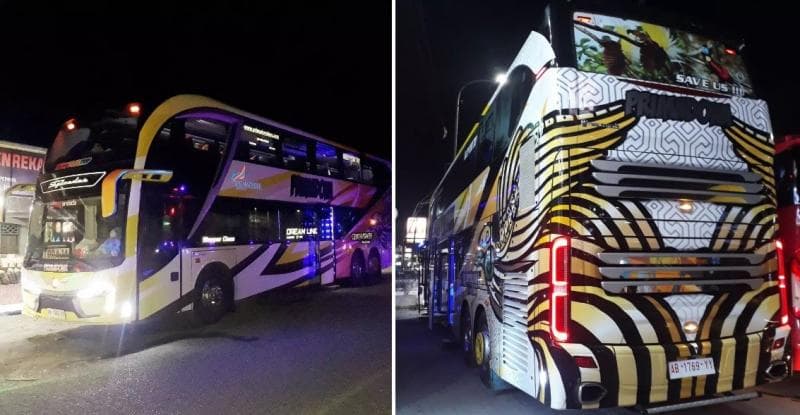 Intip Bus Termewah di Sulawesi, Bikin Kaget Fasilitasnya seperti Hotel Bintang 5 Intip Bus Termewah di Sulawesi, Bikin Kaget Fasilitasnya seperti Hotel Bintang 5