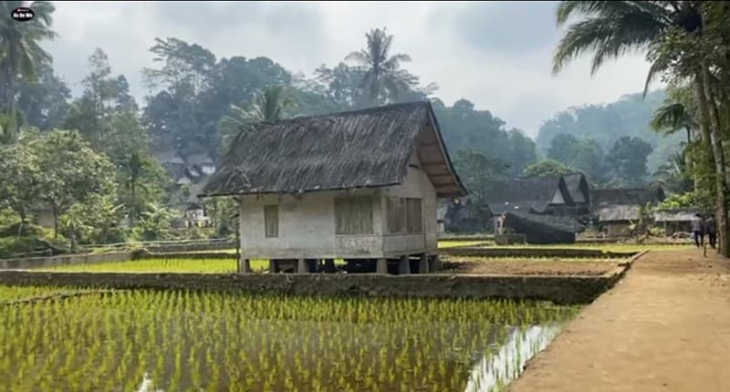 Kampung Unik di Tasikmalaya, Hanya di Sini Bisa Menikmati Suasana Pedesaan Tahun 1980-an Kampung Unik di Tasikmalaya, Hanya di Sini Bisa Menikmati Suasana Pedesaan Tahun 1980-an