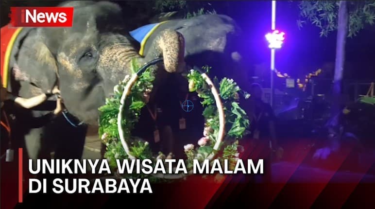 Sensasi Permainan Cahaya dan Binatang Malam di Surabaya Night Zoo Sensasi Permainan Cahaya dan Binatang Malam di Surabaya Night Zoo