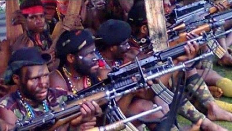Organisasi Papua Merdeka: Sejarah dan Tujuan Berdirinya Organisasi Papua Merdeka: Sejarah dan Tujuan Berdirinya