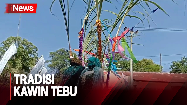 Tradisi Kawin Tebu di Cirebon, Hias Boneka Layaknya Prosesi Pernikahan Manusia Tradisi Kawin Tebu di Cirebon, Hias Boneka Layaknya Prosesi Pernikahan Manusia