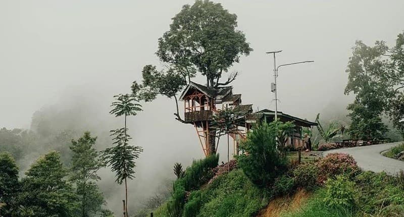 Kampung Unik di Jambi, Singgah ke Desa Terpencil Mirip Negeri Kayangan Semuanya Diselimuti Kabut Kampung Unik di Jambi, Singgah ke Desa Terpencil Mirip Negeri Kayangan Semuanya Diselimuti Kabut