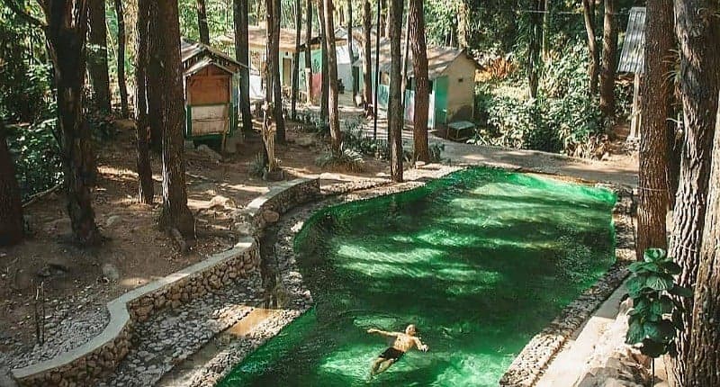 Kampung Unik di Semarang Punya Kolam Renang Alami di Hutan Pinus Suasananya Sejuk Kampung Unik di Semarang Punya Kolam Renang Alami di Hutan Pinus Suasananya Sejuk