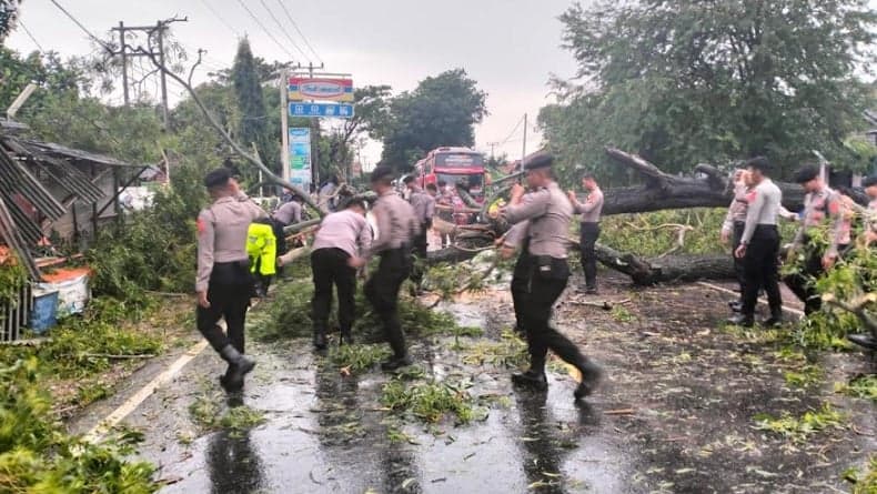 22 Bencana Terjang Kota Bogor pada 2 September, Dipicu Hujan dan Angin Kencang