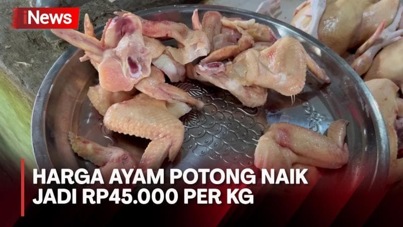 Sepekan Pasca Lebaran, Harga Ayam Potong di Pati Naik Capai Rp45 Ribu per Kg
