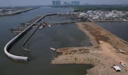 Wacana Bangun Giant Sea Wall Jakarta-Gresik, Pengamat Dorong Perbaikan dari Sisi Hulu