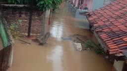 3 RT di Jakarta Masih Terendam Banjir Siang Ini