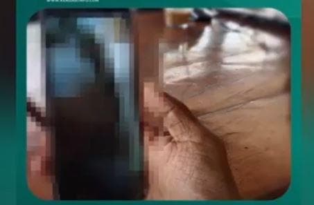 Viral Oknum Caleg Terpilih di Buton Selatan Bugil sambil Video Call Sex