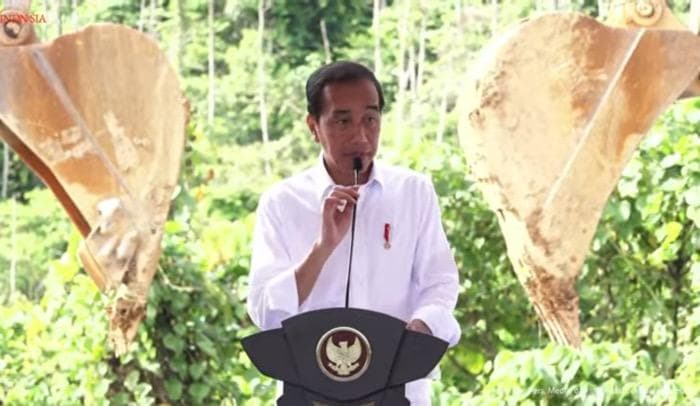 Jokowi Jamin Pengunduran Diri Kepala dan Wakil Otorita Tak Berdampak ke Investasi Asing di IKN