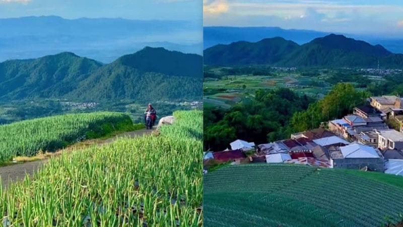 5 Desa di Magelang Harus Dikunjungi Sekali Seumur Hidup, Ada yang Suasananya Mirip di Bali