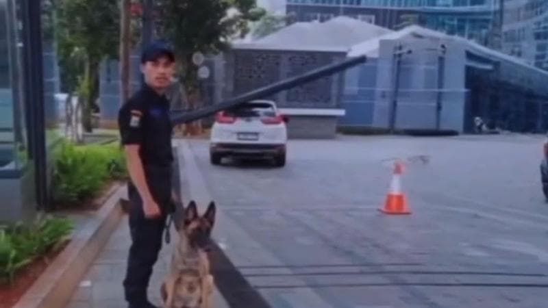 Kasus Sekuriti Pukul Anjing di Plaza Indonesia Memanas, Netizen: Justice for Pak Satpam!