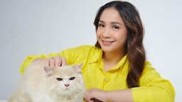 Cerita Nagita Slavina Pelihara Banyak Kucing Dikasih Nama Berawalan M, Followernya 17 Ribu