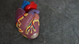 Pentingnya Alat AED untuk Tangani Henti Jantung, yang Diduga Sebabkan Pebulutangkis Muda China Meninggal