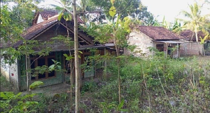 Desa di Bantul Suasananya Bikin Merinding, Rumah Warga Kosong Tak Berpenghuni