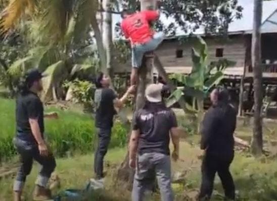 Hendak Ditangkap Polisi, Pencuri Spesialis HP di Wajo Sembunyi di Pohon Kelapa Hendak Ditangkap Polisi, Pencuri Spesialis HP di Wajo Sembunyi di Pohon Kelapa