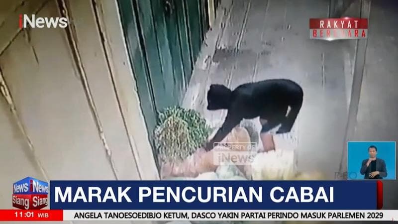 Harga Melejit, Maling Gondol Cabai di Pasar Comal Pemalang