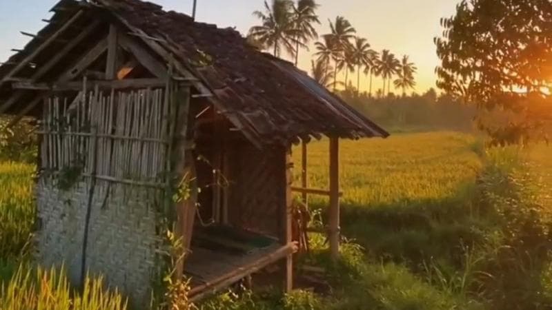 5 Desa Wisata di NTB Harus Dikunjungi Minimal Sekali Seumur Hidup, Suasananya Alami Dikelilingi Bukit