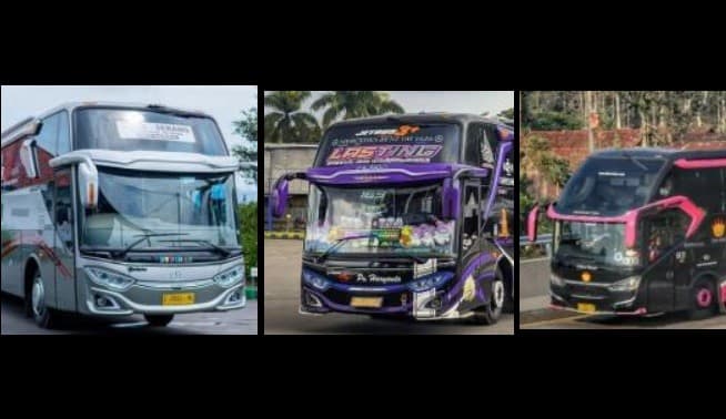 Deretan PO Bus Dikenal Dermawan, Mulai dari Santuni Ribuan Anak Yatim hingga Berangkatkan Haji Deretan PO Bus Dikenal Dermawan, Mulai dari Santuni Ribuan Anak Yatim hingga Berangkatkan Haji