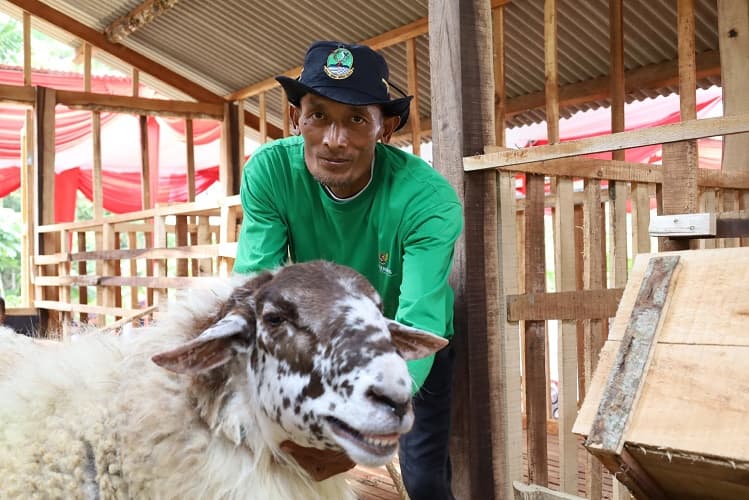 Tingkatkan Kesejahteraan, Balai Ternak BAZNAS Bantu Ekonomi Penerima Manfaat