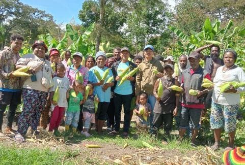 Warga Jayawijaya Panen Jagung Bantuan KSAD Maruli Simanjuntak Tepat di HUT RI