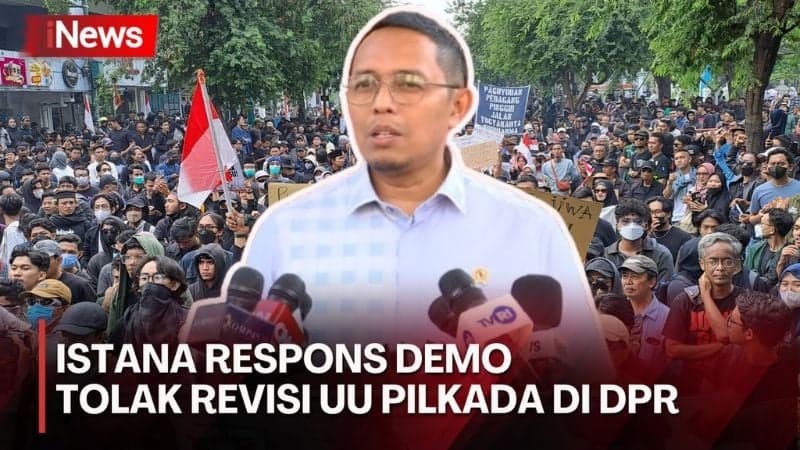 Respons Istana soal Kisruh Revisi UU Pilkada di DPR, Hasan Nasbi: Bukti Demokrasi Masih Berjalan