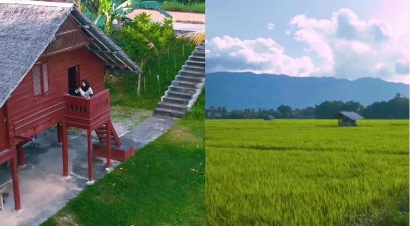 Desa Unik di Aceh, Singgah ke Lubuk Sukon Rumah Warga Masih Tradisional Dikelilingi Sawah 